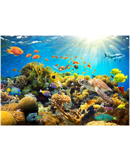 Artgeist A1-MNEW010626SAM IL-FOTOTAPETTI Main Image