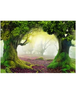 Artgeist A1-XXLNEW010370SAM IL-F.TAPETTI Main Image