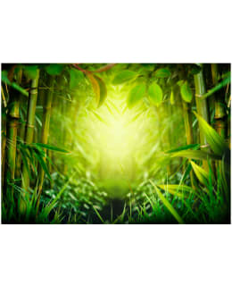 Artgeist A1-XXLNEW010394SAM IL-F.TAPETTI Main Image