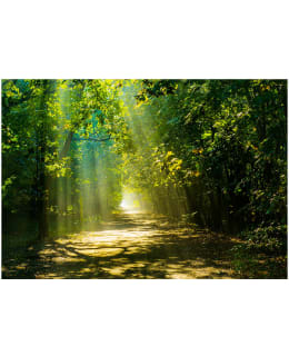 Artgeist A1-5XLNEW011572SAM IL-F.TAPETTI Main Image