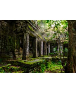 Artgeist A1-3XLFT1796SAM IL-FOTOTAPETTI Main Image