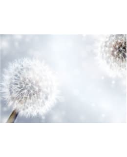 Artgeist A1-XLNEW010249SAM IL-F.TAPETTI Main Image