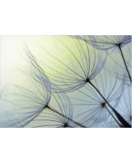 Artgeist A1-4XLFT1836SAM IL-FOTOTAPETTI Main Image