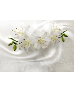 Artgeist A1-MFT1458SAM IL-FOTOTAPETTI Main Image