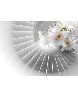 Artgeist A1-3XLFT1613SAM IL-FOTOTAPETTI Main Image