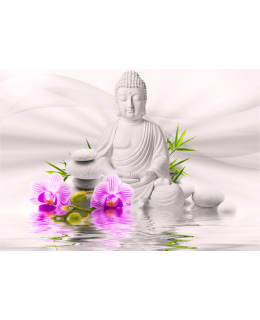 Artgeist A1-5XLNEW010693SAM IL-F.TAPETTI Main Image