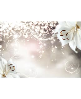 Artgeist A1-XLNEW010698SAM IL-F.TAPETTI Main Image