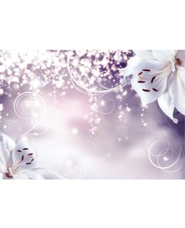 Artgeist A1-SNEW010700SAM IL-FOTOTAPETTI Main Image