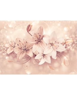 Artgeist A1-4XLFT685SAM IL-FOTOTAPETTI Main Image