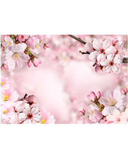 Artgeist A1-LNEW011576SAM IL-FOTOTAPETTI Main Image