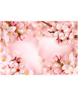 Artgeist A1-XXLNEW011578SAM IL-F.TAPETTI Main Image