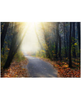 Artgeist A1-LNEW011445SAM IL-FOTOTAPETTI Main Image