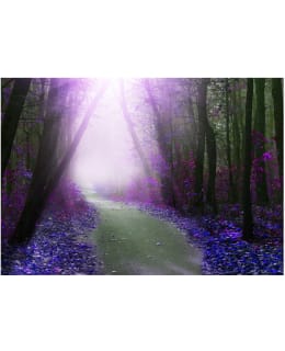 Artgeist A1-LNEW011447SAM IL-FOTOTAPETTI Main Image