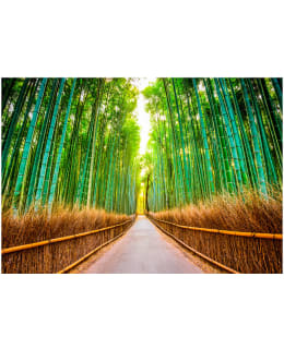 Artgeist A1-XLFT357SAM IL-FOTOTAPETTI Main Image