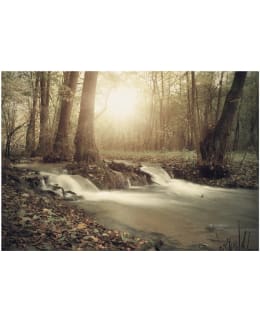 Artgeist A1-4XLFT736SAM IL-FOTOTAPETTI Main Image