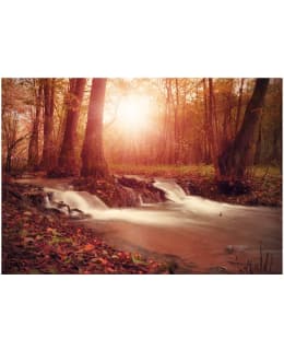 Artgeist A1-5XLFT737SAM IL-FOTOTAPETTI Main Image