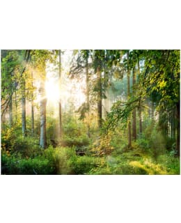 Artgeist A1-2XLFT1045SAM IL-FOTOTAPETTI Main Image