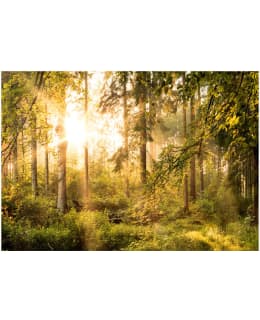 Artgeist A1-4XLFT1046SAM IL-FOTOTAPETTI Main Image