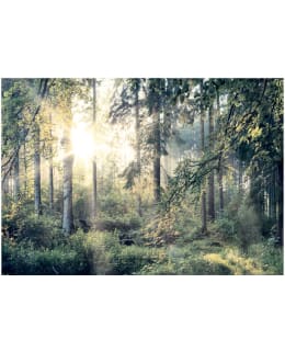 Artgeist A1-4XLFT1047SAM IL-FOTOTAPETTI Main Image