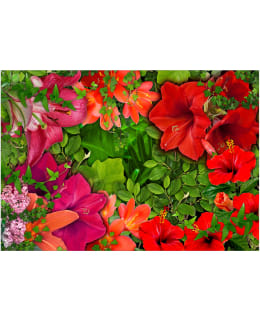 Artgeist A1-XLFT1757SAM IL-FOTOTAPETTI Main Image