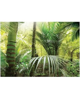 Artgeist A1-XXLNEW011082SAM IL-F.TAPETTI Main Image