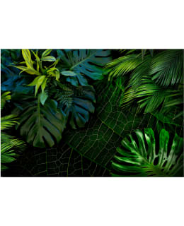 Artgeist A1-5XLFT1713SAM IL-FOTOTAPETTI Main Image