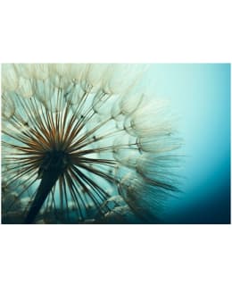 Artgeist A1-LFT678SAM IL-FOTOTAPETTI Main Image