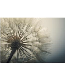 Artgeist A1-LFT679SAM IL-FOTOTAPETTI Main Image