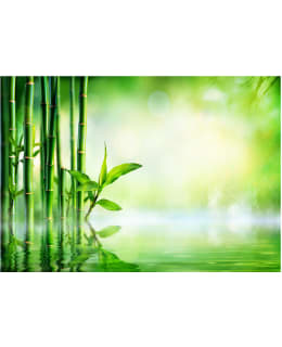 ARTGEIST A1-SFT1431SAM IL-FOTOTAPETTI Main Image