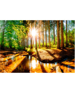 Artgeist A1-2XLFT1476SAM IL-FOTOTAPETTI Main Image