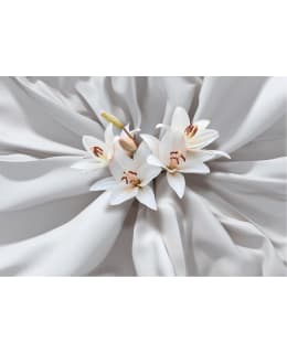 Artgeist A1-4XLFT1495SAM IL-FOTOTAPETTI Main Image