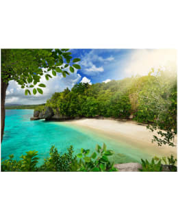 Artgeist A1-LNEW010660SAM IL-FOTOTAPETTI Main Image