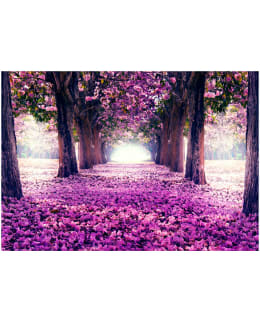 Artgeist A1-NEW010787SAM IL-FOTOTAPETTI Main Image