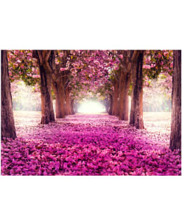 Artgeist A1-SNEW010788SAM IL-FOTOTAPETTI Main Image