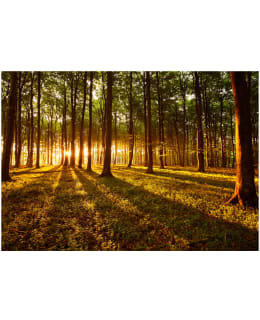 Artgeist A1-SNEW010834SAM IL-FOTOTAPETTI Main Image