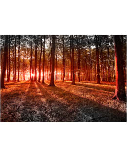 Artgeist A1-4XLNEW010835SAM IL-F.TAPETTI Main Image