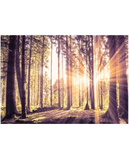 Artgeist A1-SFT796SAM IL-FOTOTAPETTI Main Image