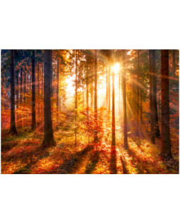 ARTGEIST A1-SFT1260SAM IL-FOTOTAPETTI Main Image