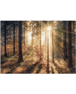 Artgeist A1-XLFT1261SAM IL-FOTOTAPETTI Main Image