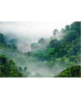 Artgeist A1-LFT1569SAM IL-FOTOTAPETTI Main Image