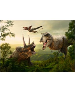 Artgeist A1-4XLFT1810SAM IL-FOTOTAPETTI Main Image