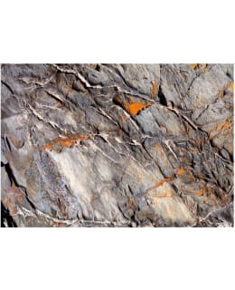 Artgeist A1-XLFT1038SAM IL-FOTOTAPETTI Main Image