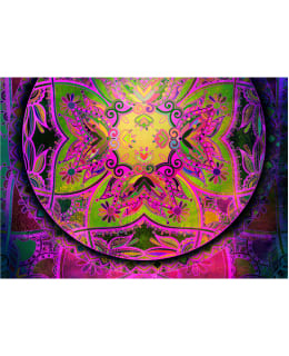 Artgeist A1-LFT1484SAM IL-FOTOTAPETTI Main Image