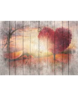 Artgeist A1-4XLFT1517SAM IL-FOTOTAPETTI Main Image