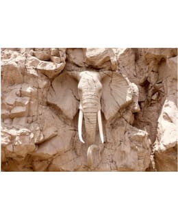 Artgeist A1-5XLFT509SAM IL-FOTOTAPETTI Main Image