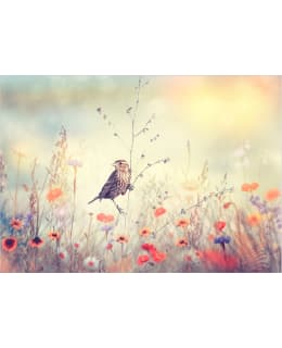 ARTGEIST A1-SFT1789SAM IL-FOTOTAPETTI Main Image