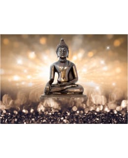 Artgeist A1-4XLFT438SAM IL-FOTOTAPETTI Main Image