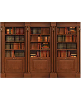 Artgeist A1-MFT844SAM IL-FOTOTAPETTI Main Image