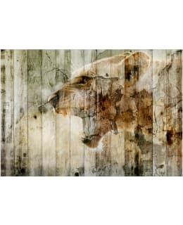 Artgeist A1-4XLFT1831SAM IL-FOTOTAPETTI Main Image