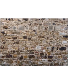 Artgeist A1-3XLFT1834SAM IL-FOTOTAPETTI Main Image